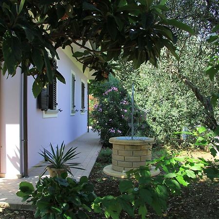 B&B Valmarecchia Poggio Berni Екстер'єр фото