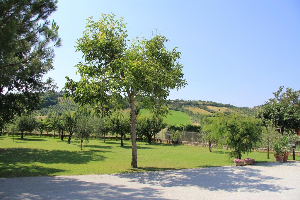B&B Valmarecchia Poggio Berni Екстер'єр фото